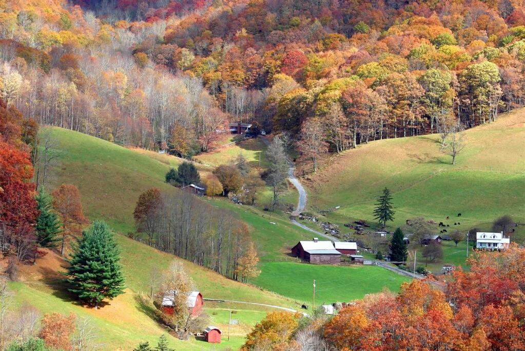The Snow Owl Cabin Maggie Valley Esterno foto